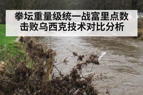 拳坛重量级统一战富里点数击败乌西克技术对比分析